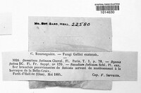Image Associated With the Occurence